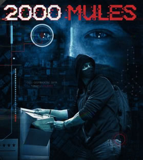 2000Mules-Image